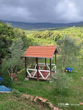 Zeytin Ağaçlarıyla Dolu Muhteşem Bir Arsa Üzerinde Geniş Ev