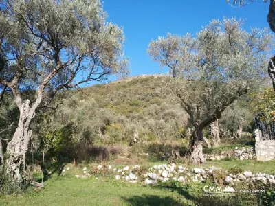 Sahile yakın satılık kentsel arsa