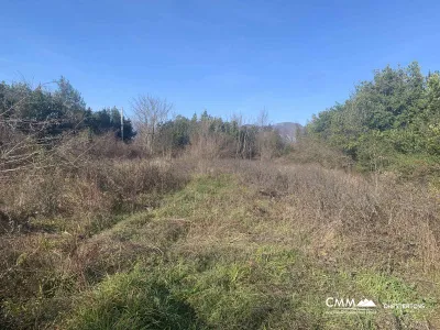 Kotor yakınlarında şehirleşmiş arsa