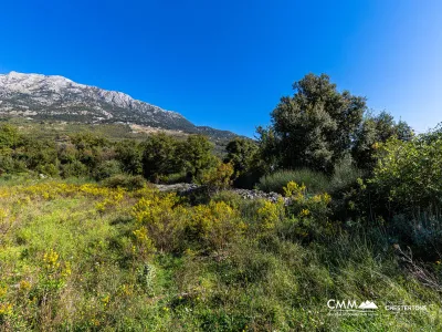 Bar-Peçurice'de arsa 2003m²