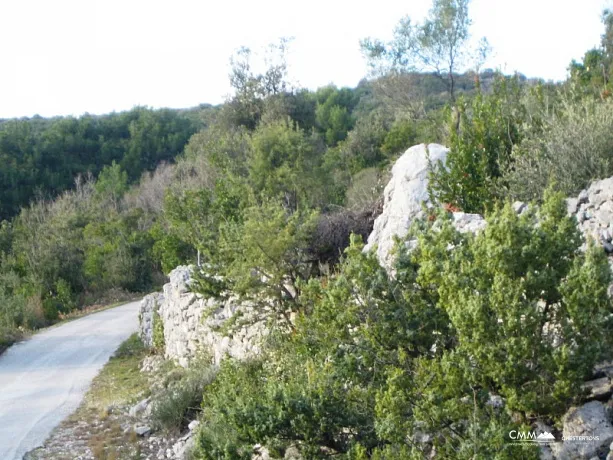 Kotor'da deniz manzaralı arsa