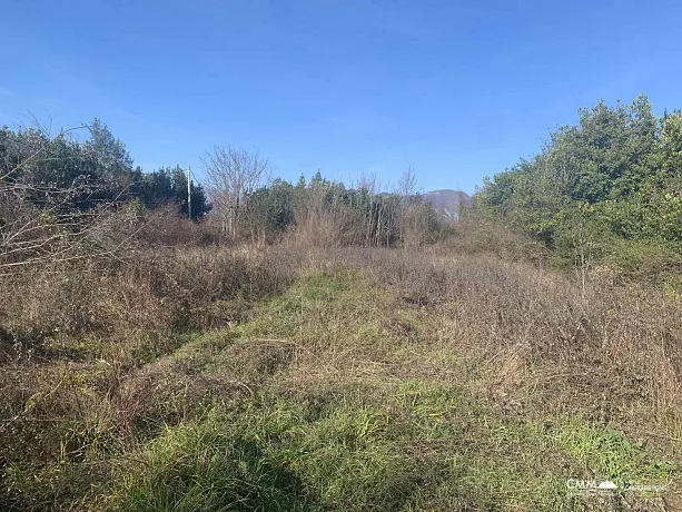 Kotor yakınlarında şehirleşmiş arsa