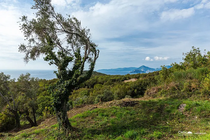 Reževići’de 975 m² arsa satılıktır