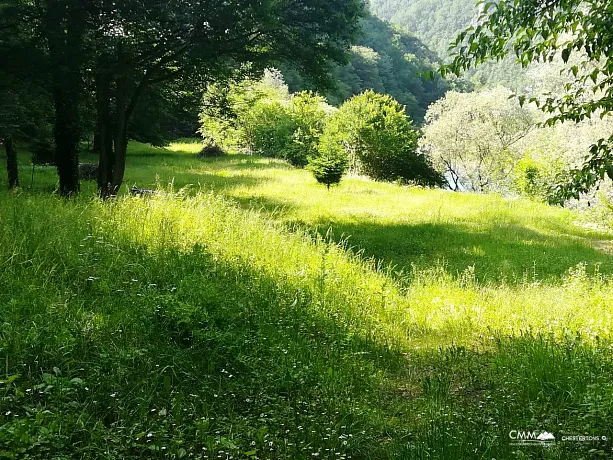 Tara nehri kıyısında arsa