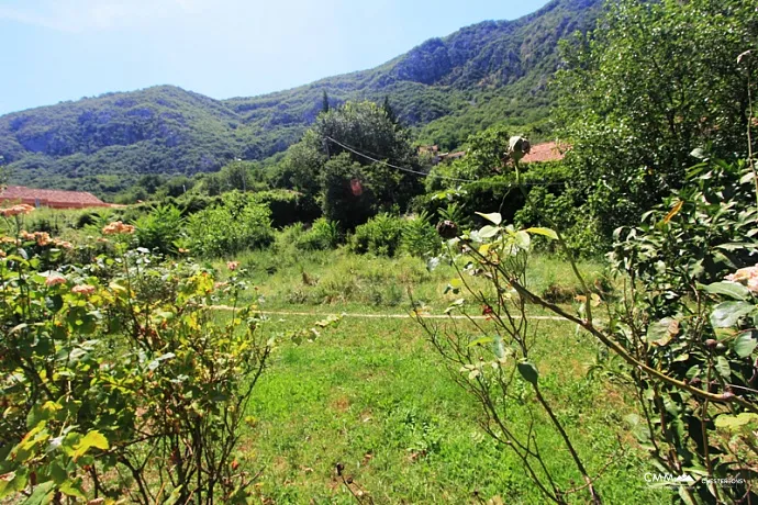 Kotor'da geniş arsalı ev