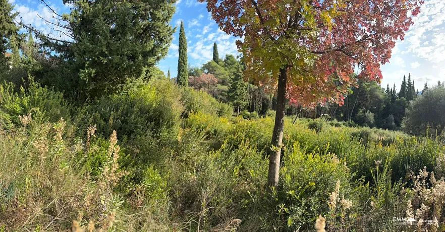 Mojdež, Herceg Novi'de doğa ile çevrili muhteşem arsa