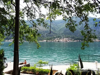 House on the first line to the sea in Dobrota, Kotor