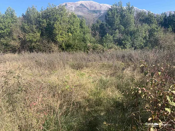 Kotor yakınlarında şehirleşmiş arsa