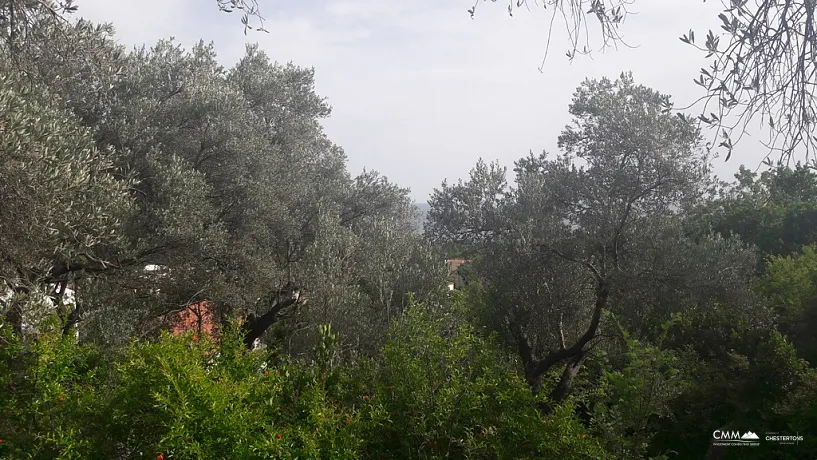 Budva'da arsa