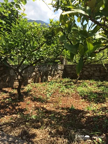 Plot with small house in Dobre Vode 