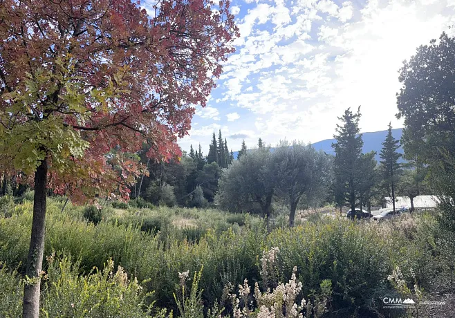 Mojdež, Herceg Novi'de doğa ile çevrili muhteşem arsa