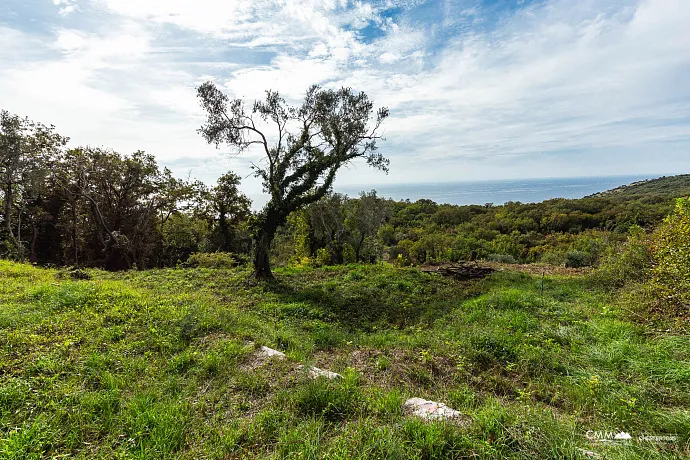 Reževići’de 975 m² arsa satılıktır