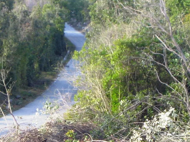 Kotor'da deniz manzaralı arsa